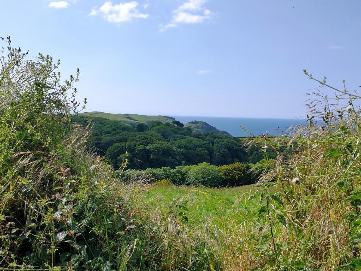 Villa The Mill Tintagel Exterior foto